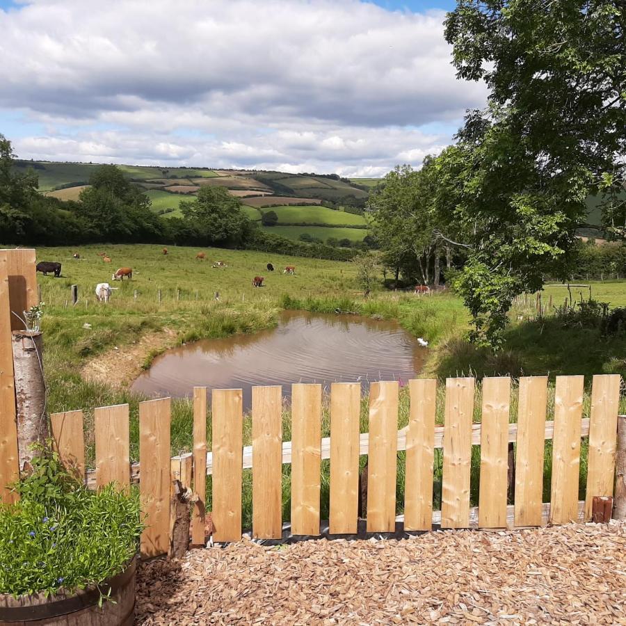 Foxglove Accommodation Craven Arms Exteriör bild