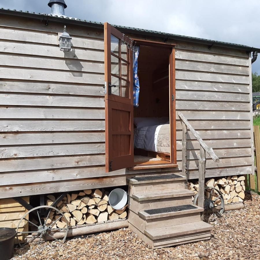 Foxglove Accommodation Craven Arms Exteriör bild